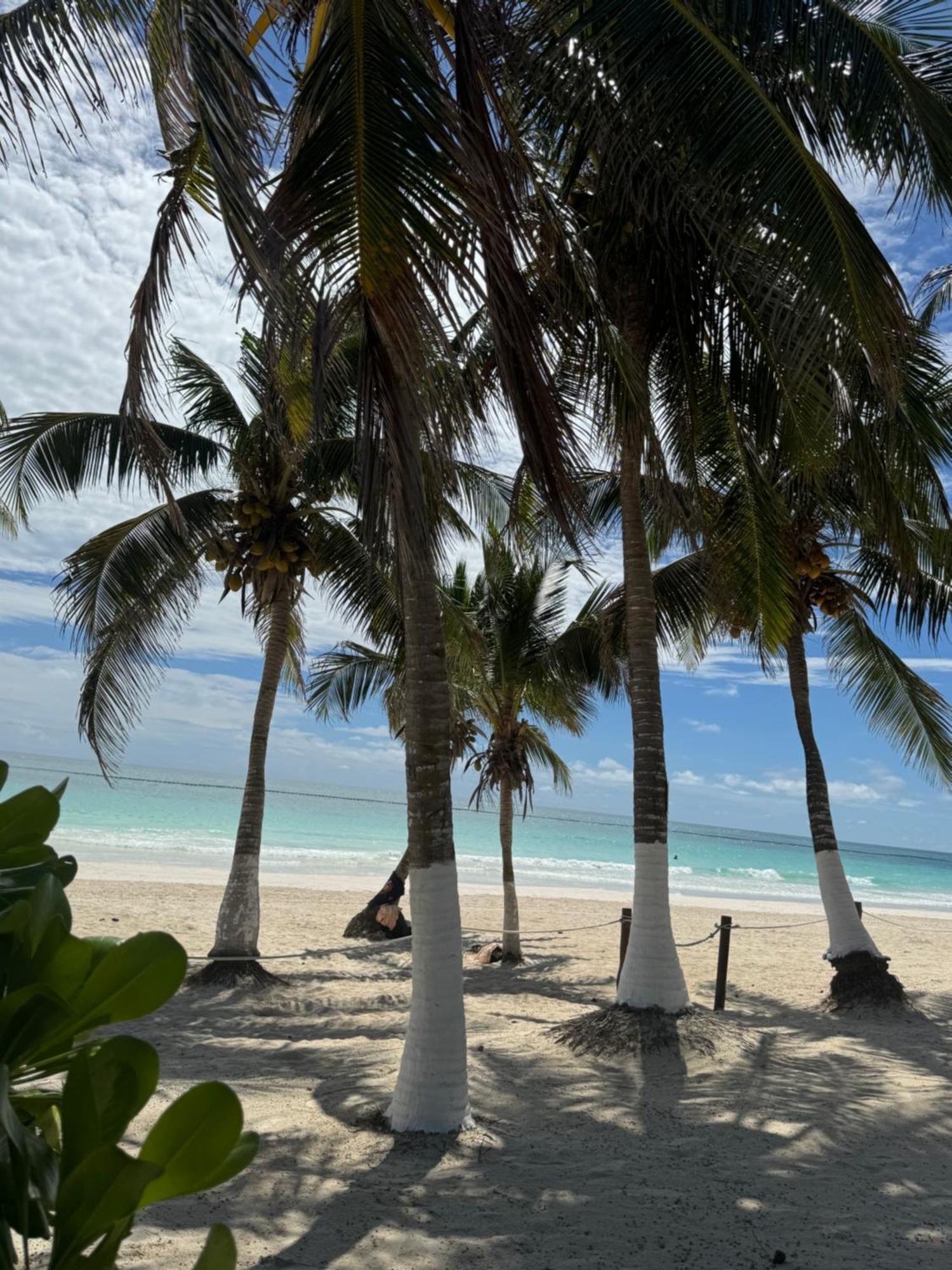 El Paraiso Hotel Tulum Dış mekan fotoğraf