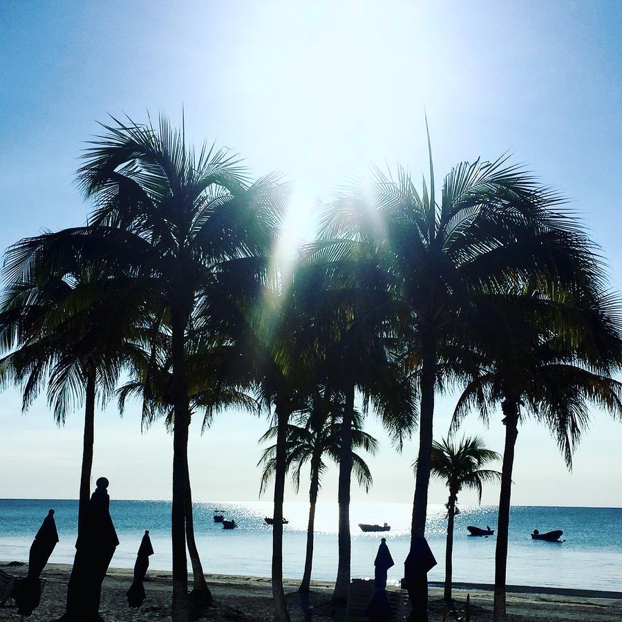 El Paraiso Hotel Tulum Dış mekan fotoğraf
