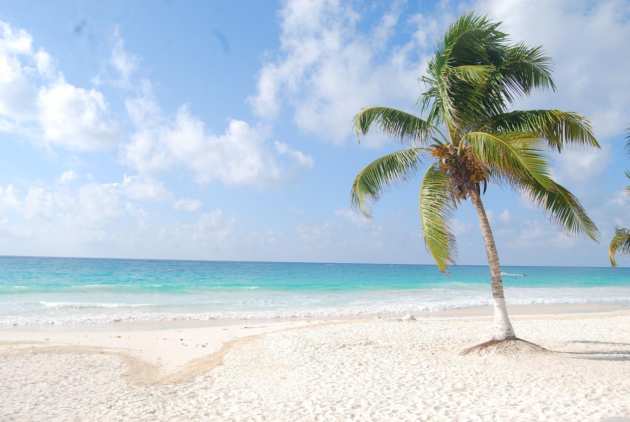El Paraiso Hotel Tulum Dış mekan fotoğraf